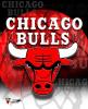 the Bulls