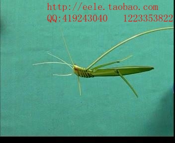 棕编蚂蚱 旺旺luxinshengcn.jpg