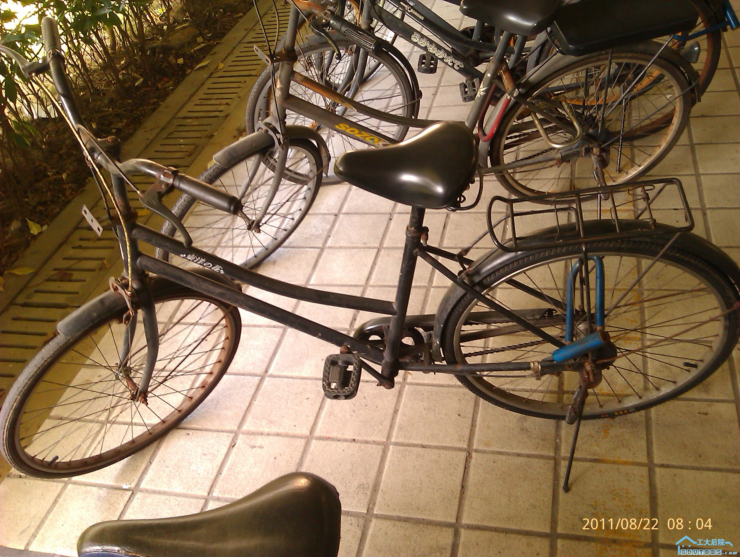 IMAG0428.jpg