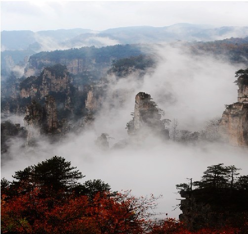 天子山秋色.jpg