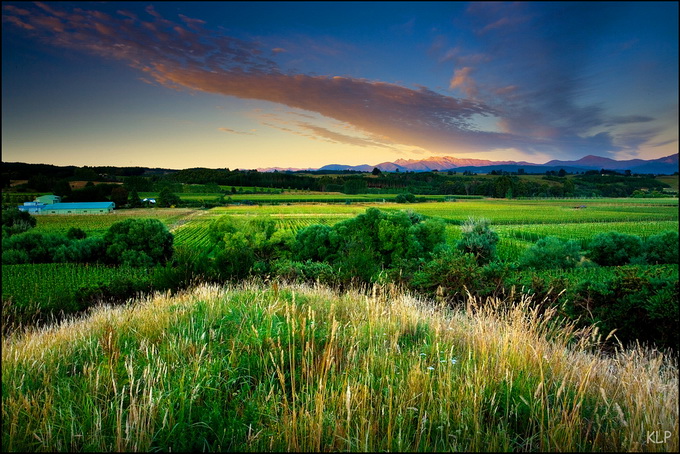 作者 katepedley.jpg