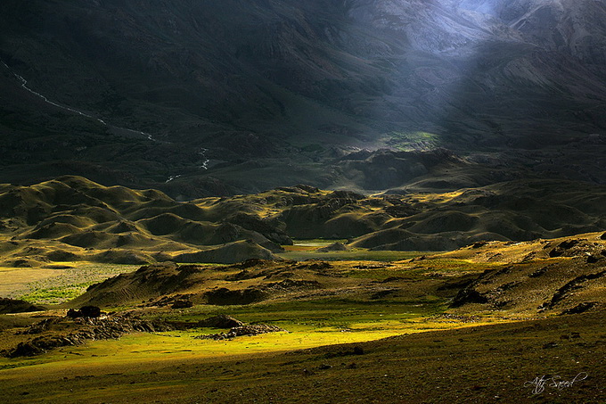 作者 M  Atif  Saeed.jpg