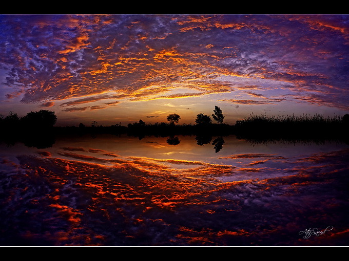 作者 M Atif  Saeed.jpg