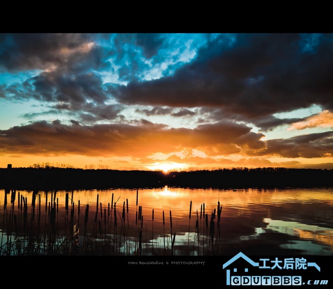 作者 Marc Benslahdine   Photography.jpg