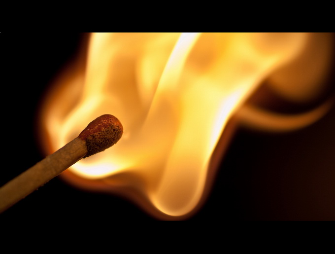 作者 Maximilian Zimmermann.jpg