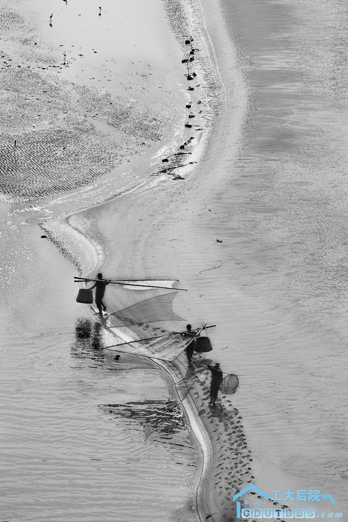 5月的霞浦滩涂风光很迷人，使用远摄镜头加增倍镜捕捉赶海人的身影，黑白色调展现滩涂.jpg