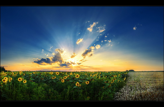 作者 realityDream 1.jpg