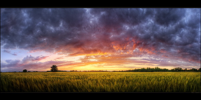 作者 realityDream.jpg