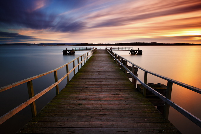 作者 Robert Cherry.jpg