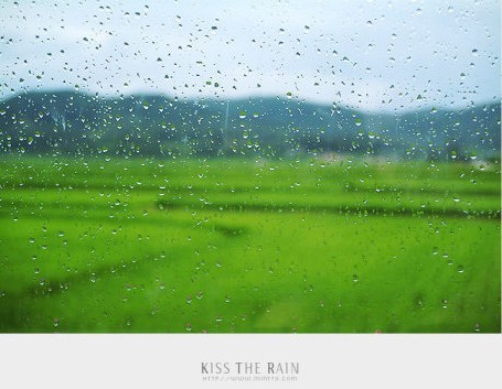 Kiss the rain.jpg