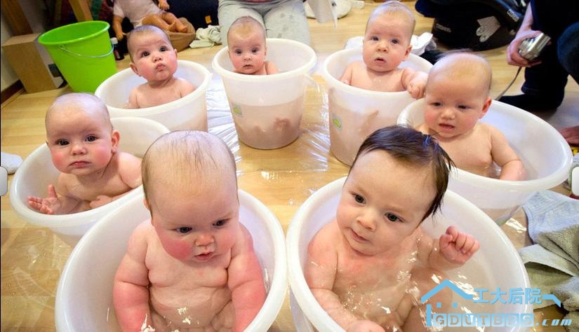 七个小宝宝.jpg