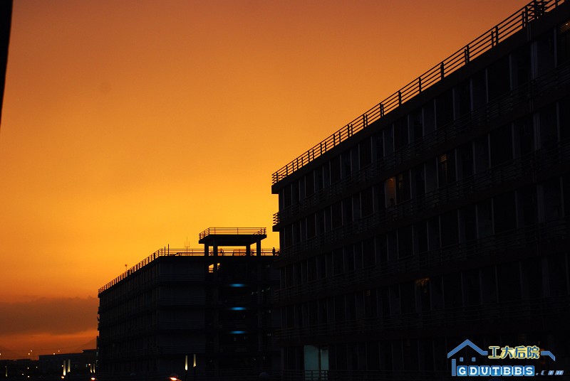 DSC_6296.jpg