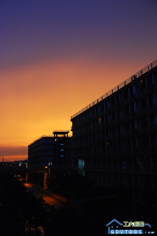 DSC_6300.jpg