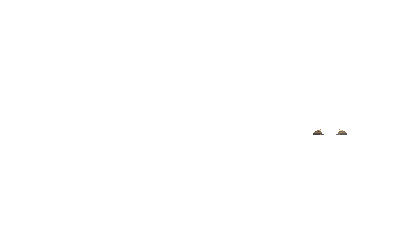 KT_29.gif