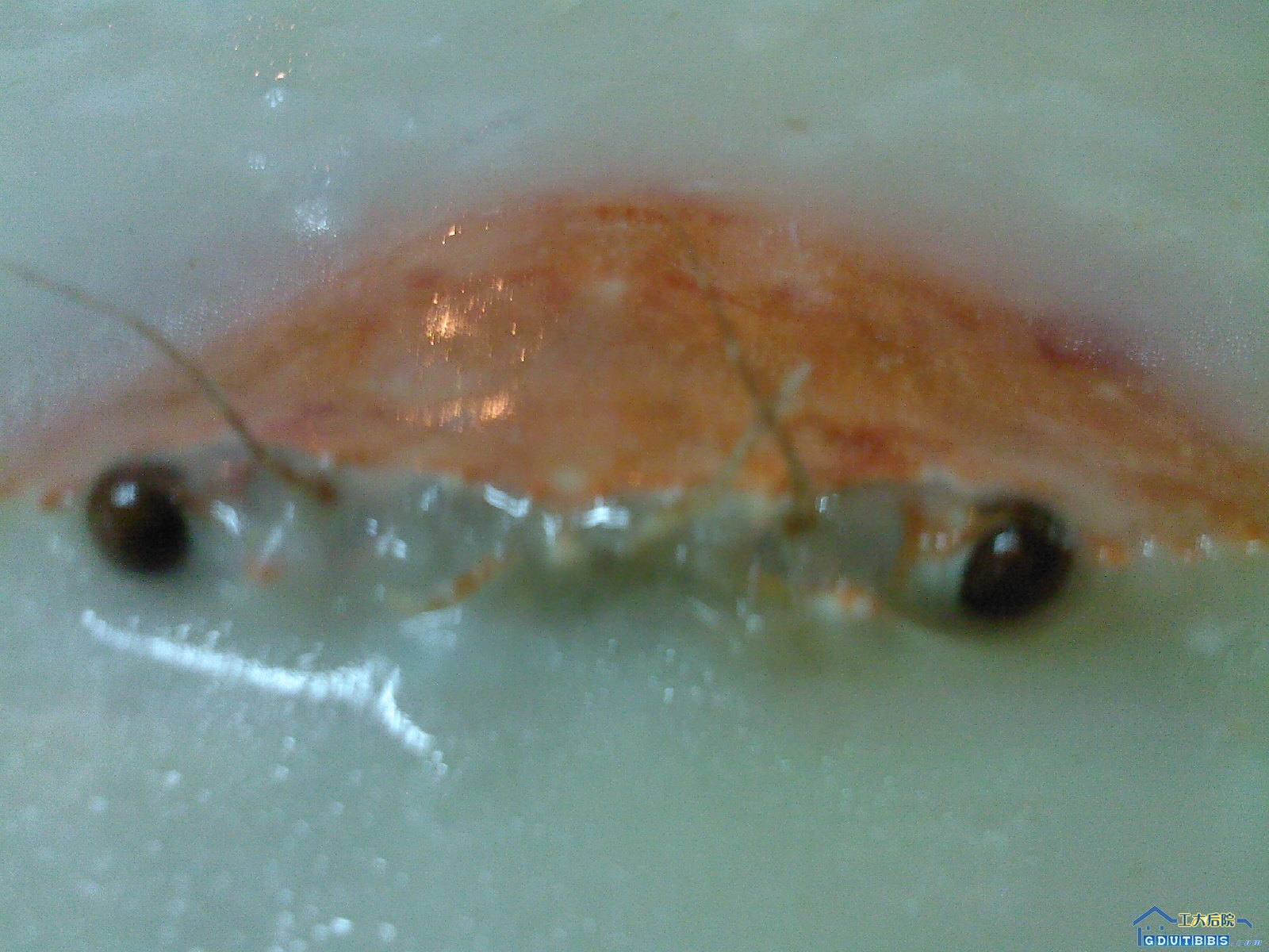 照片0098.jpg