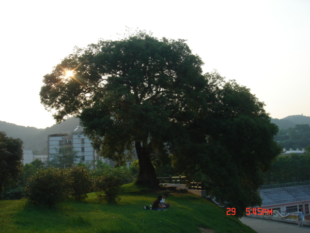 11 (11).JPG