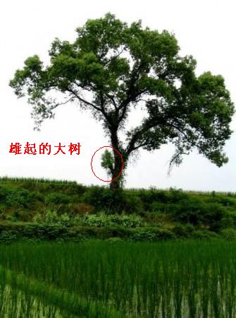 20080916_e7ee6536215cb22d0ba1WnPlsgNIWVvS.jpg