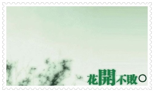 花开不败.jpg