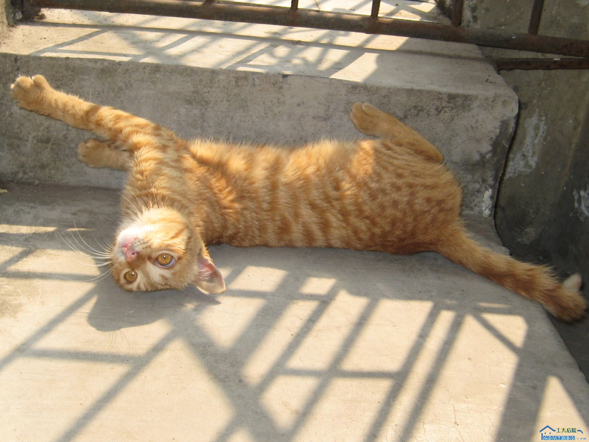 十月末和资料们 871.jpg