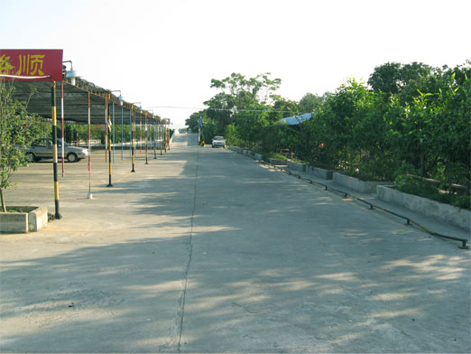 2000.jpg
