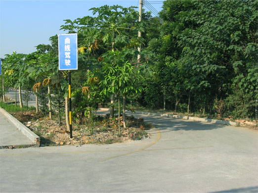 2600.jpg