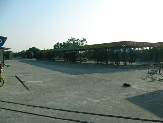 1100.jpg