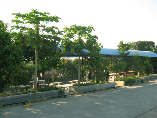 900.jpg