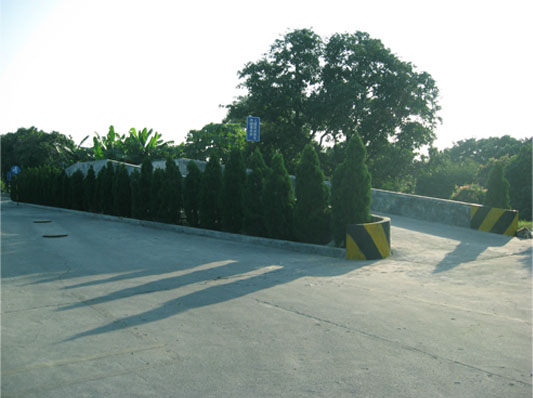 600.jpg