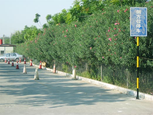 2900.jpg