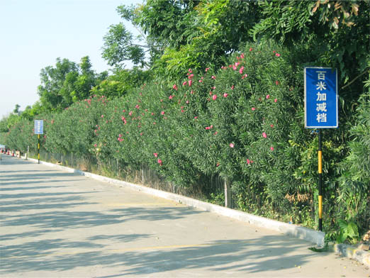 2800.jpg