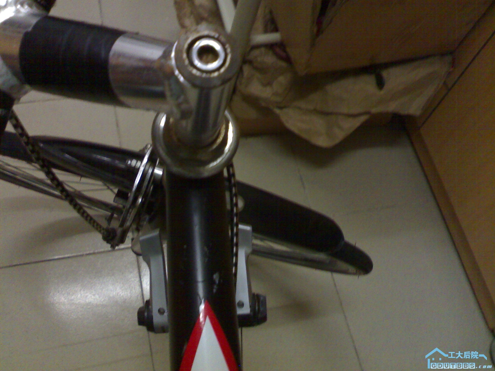 20090324593.jpg