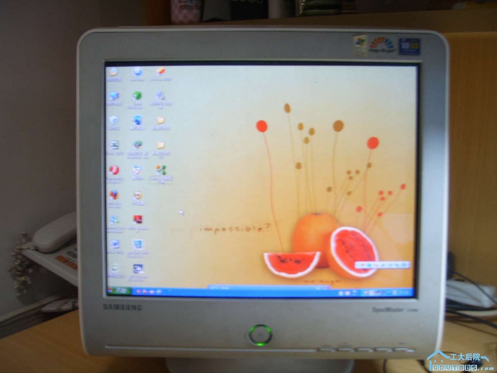 电脑橙2.JPG