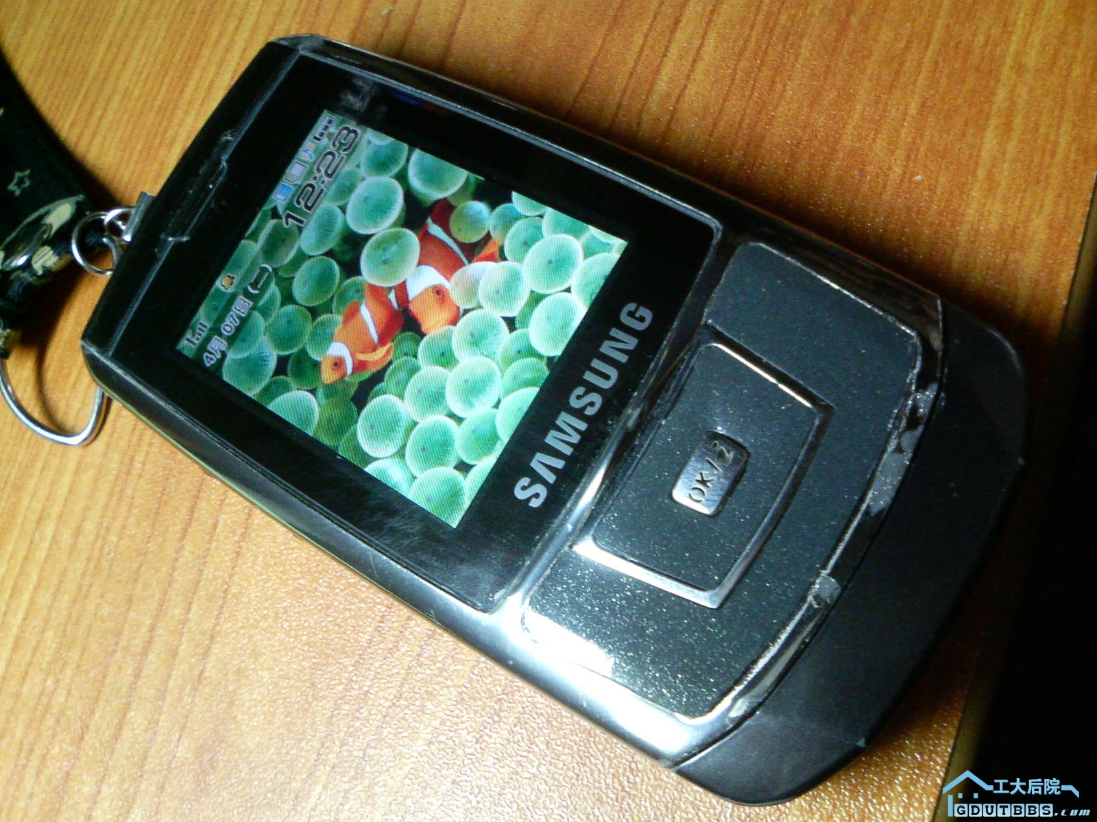 DCF_0005.JPG