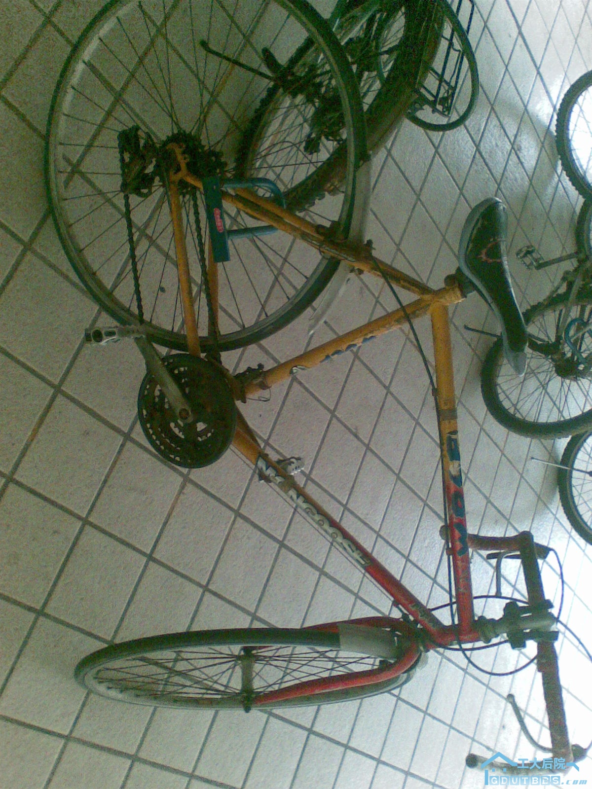 单车一辆  骑起来很轻松 价格100(已卖）