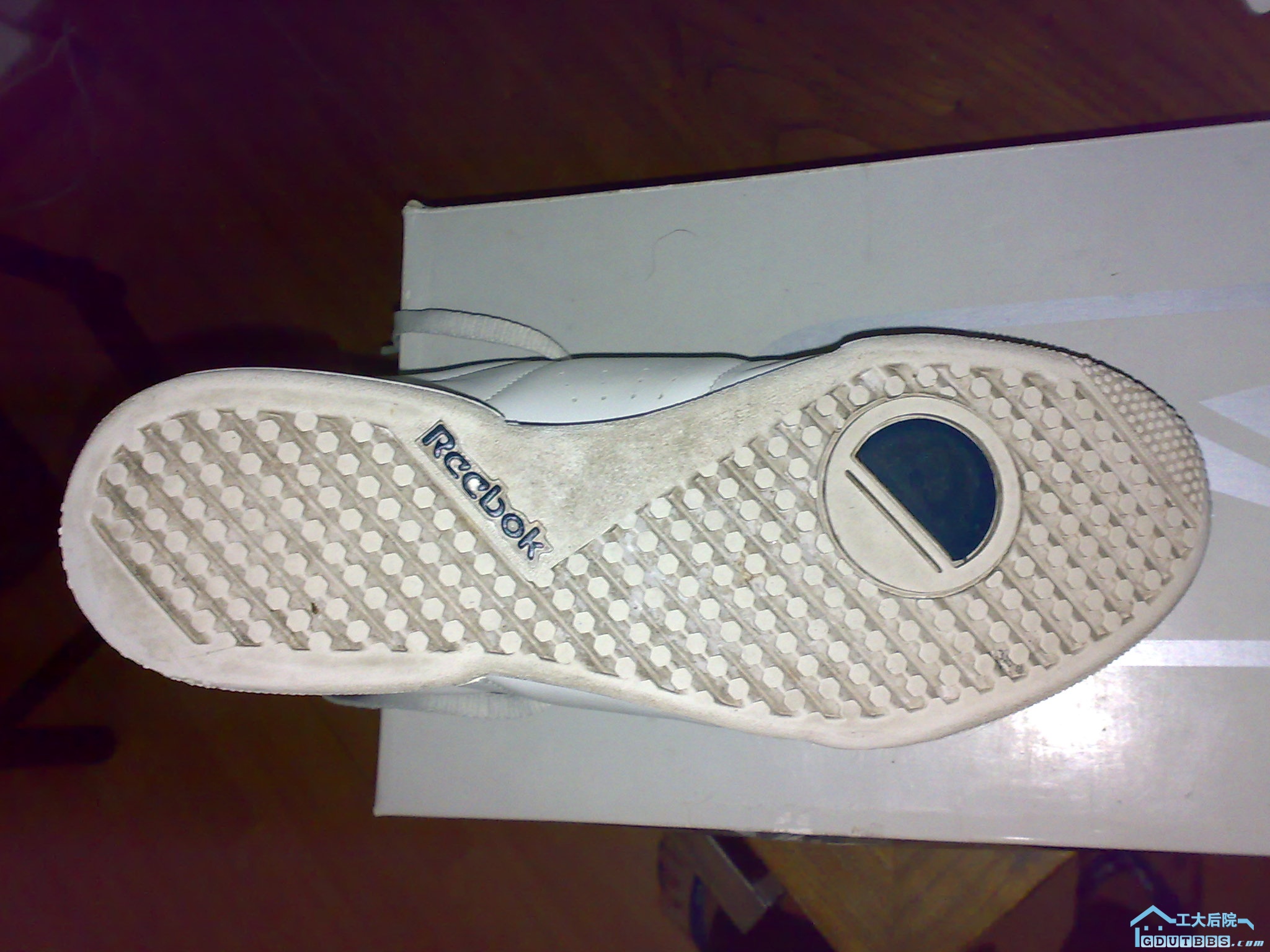 20090413448.jpg