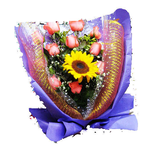 美好明天（本地） 62元.jpg