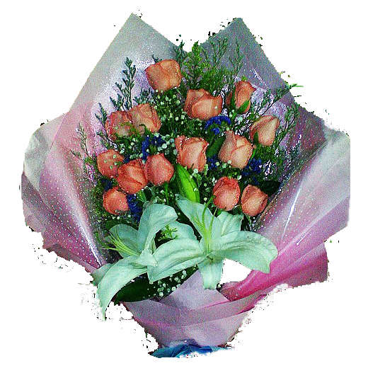 展翅高飞（昆明） 76元.jpg