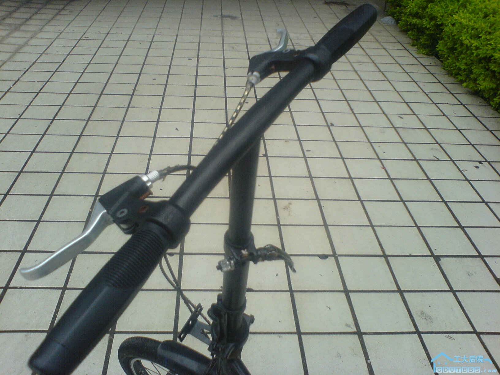 DSC00675 - 复制.JPG