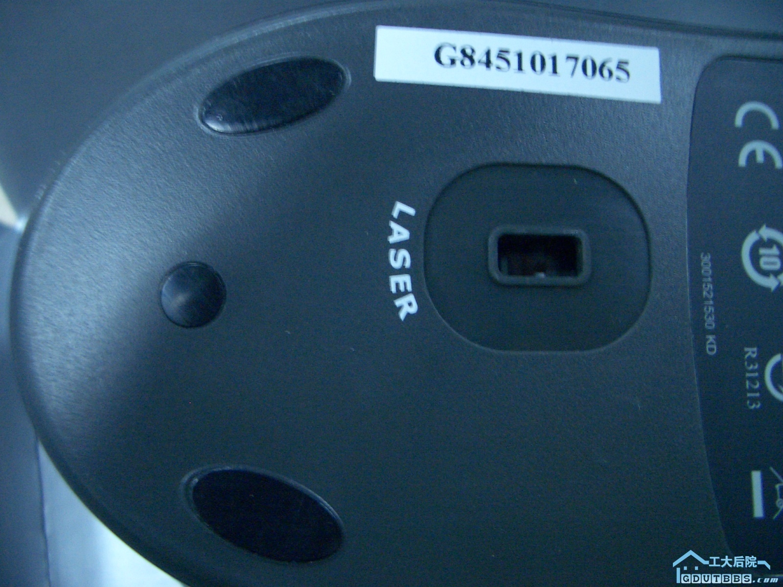 CIMG3146.JPG
