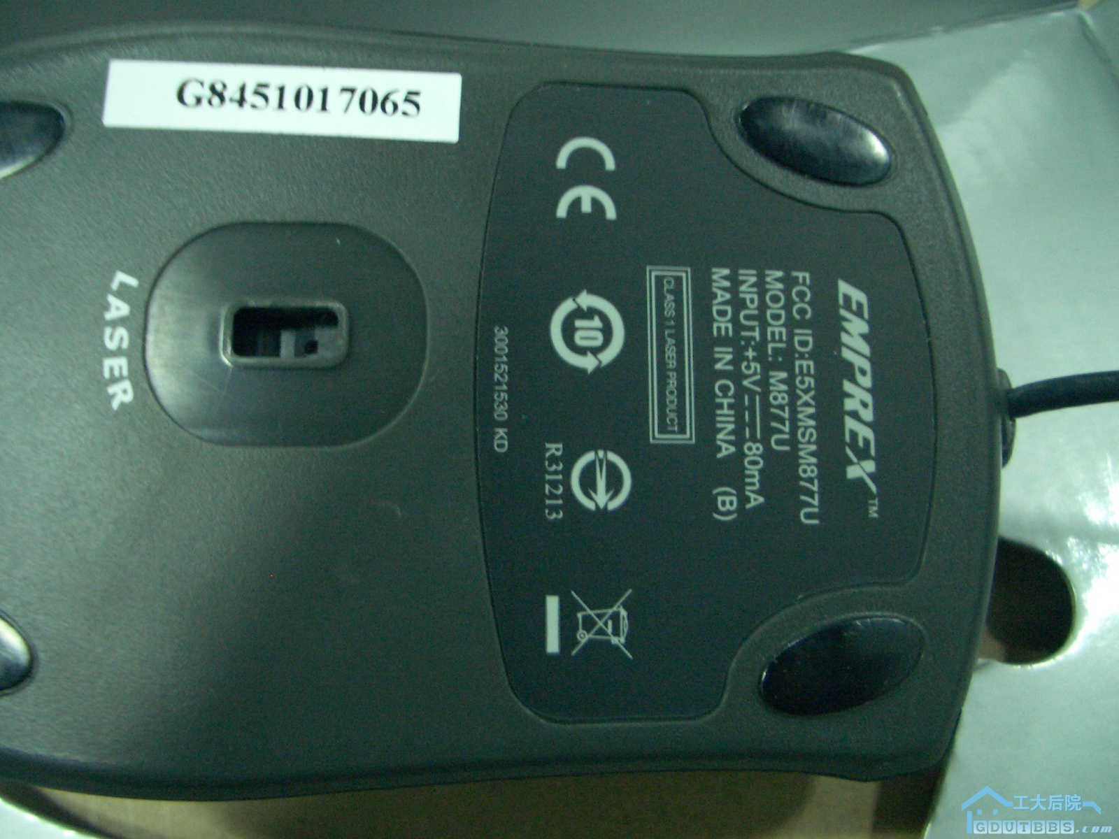 CIMG3145.JPG