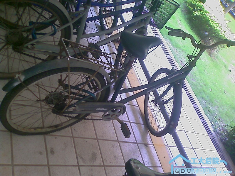 200906061758_098.jpg