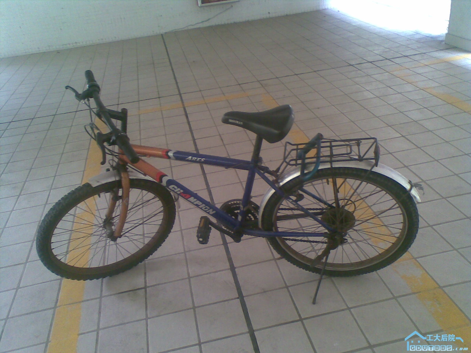 20090617(002).jpg