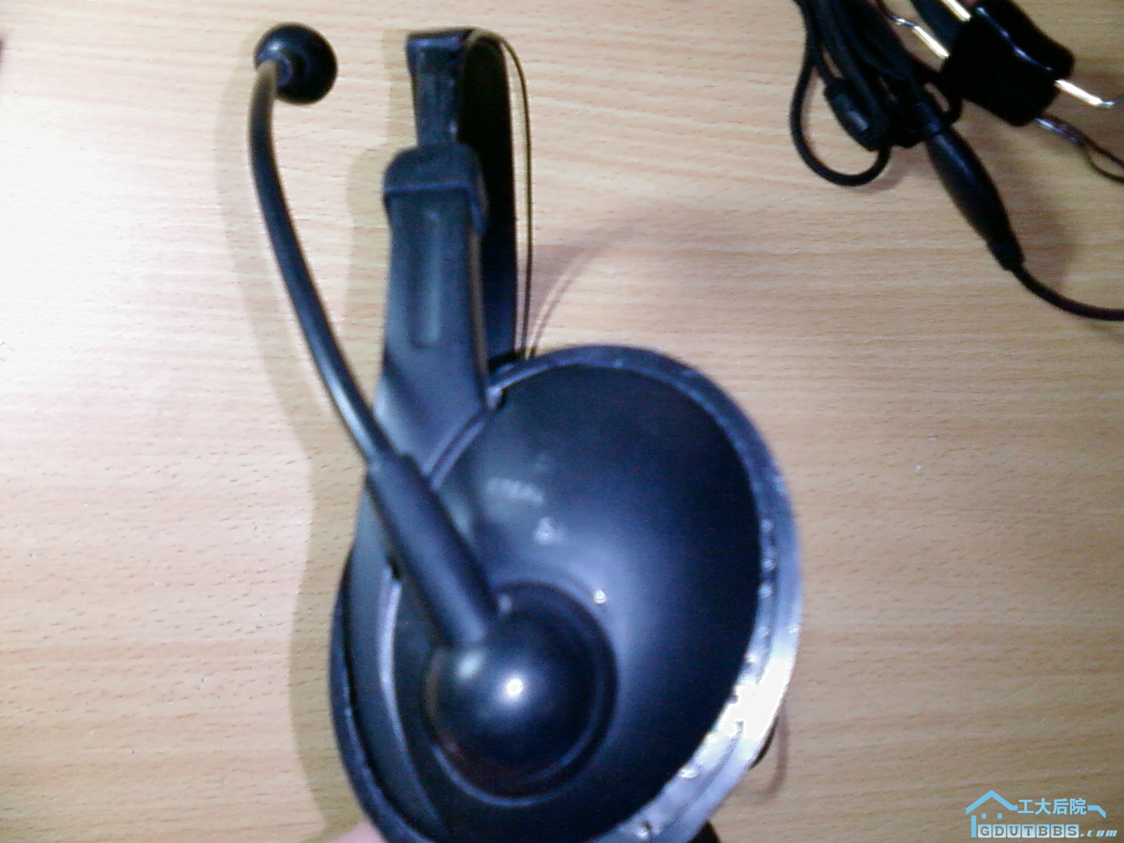 20090828(011).jpg