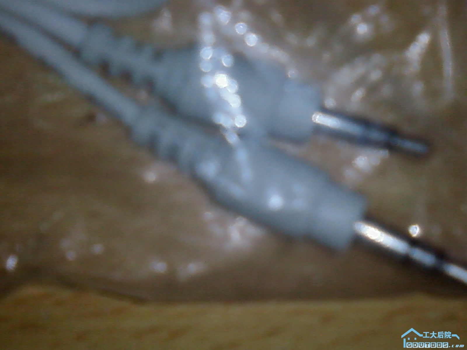 20090828(020).jpg