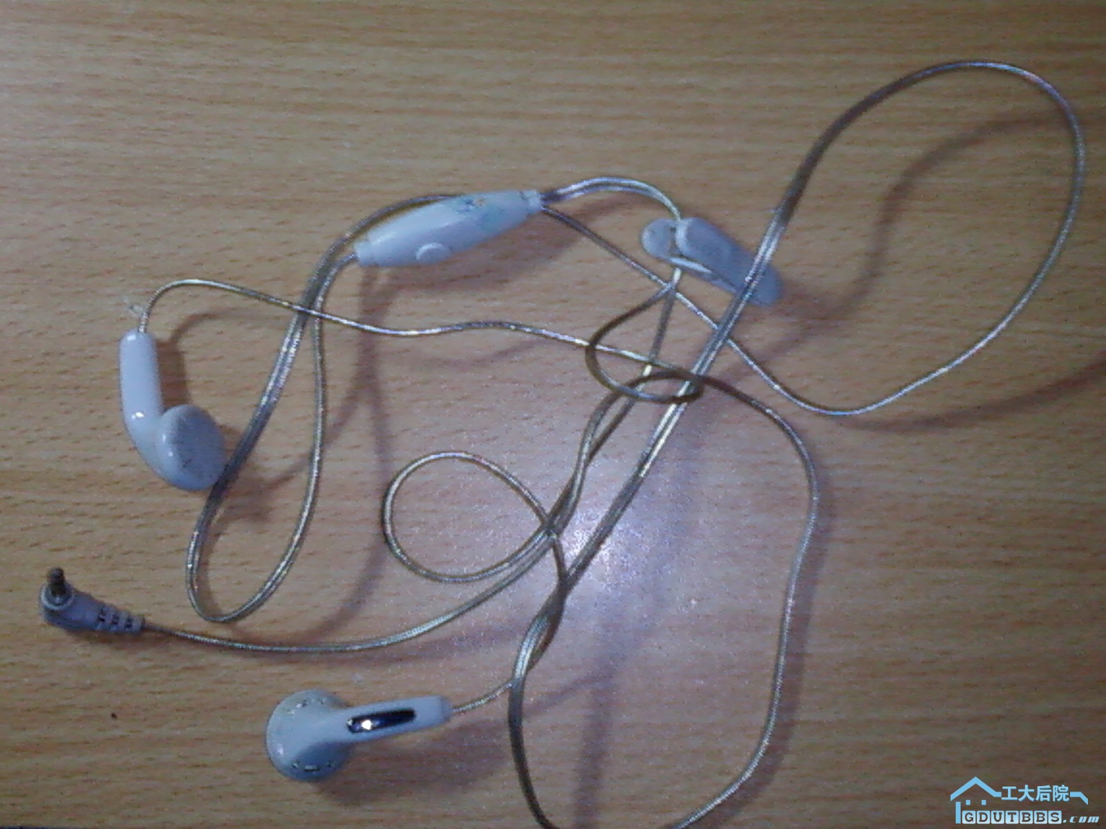 20090828(029).jpg