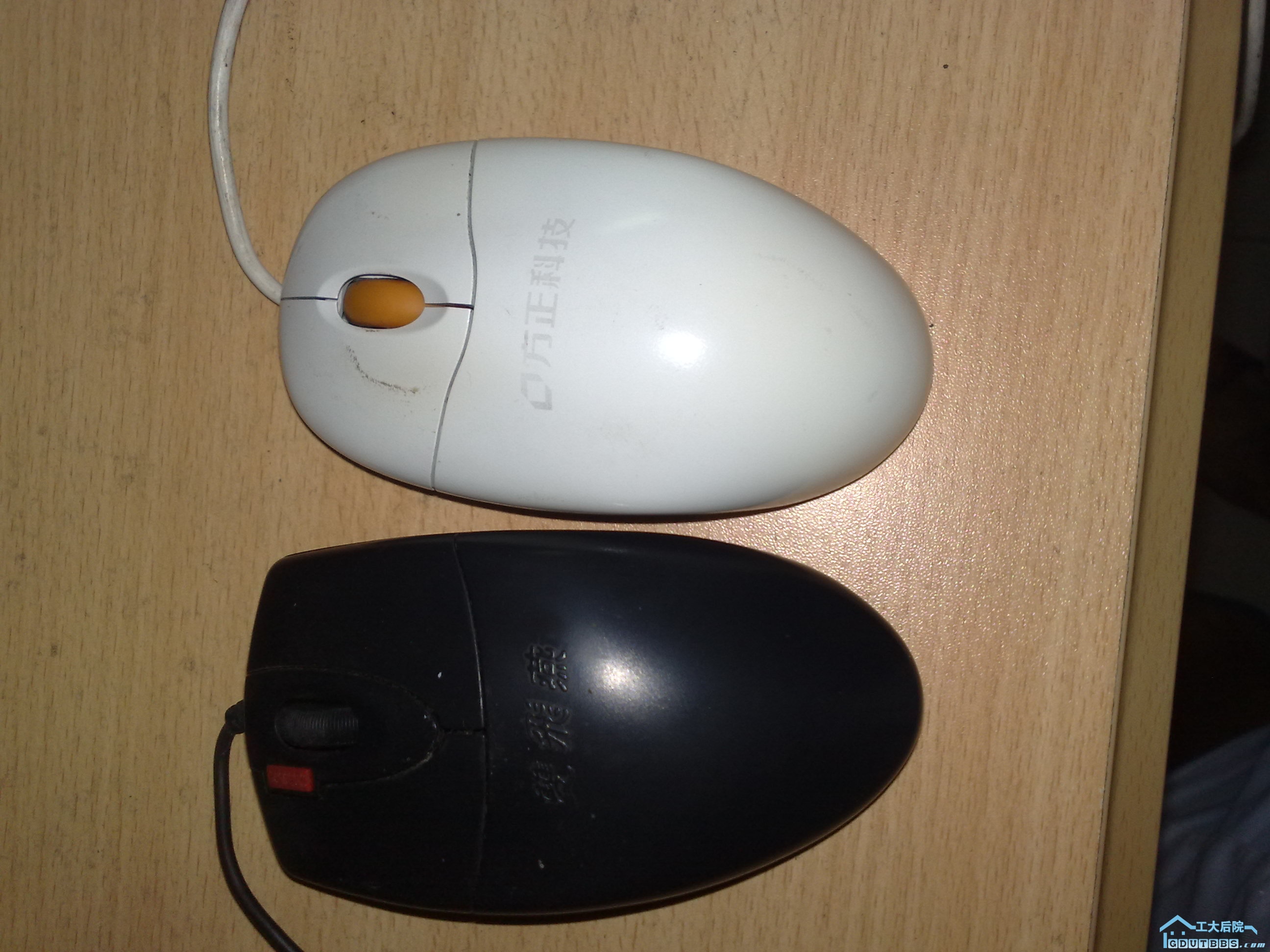 两个有点问题的鼠标，黑色的双飞燕（PS2接口）左键有点不灵，白色的方正（USB接口）偶尔会单击变双击，每个 ...