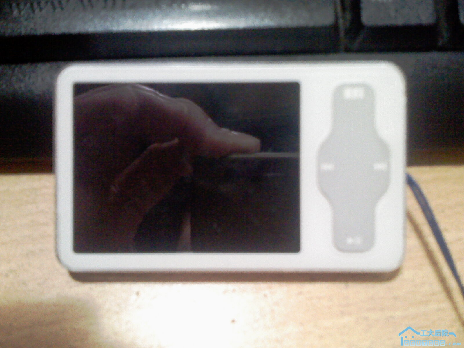 IMAG0077.jpg