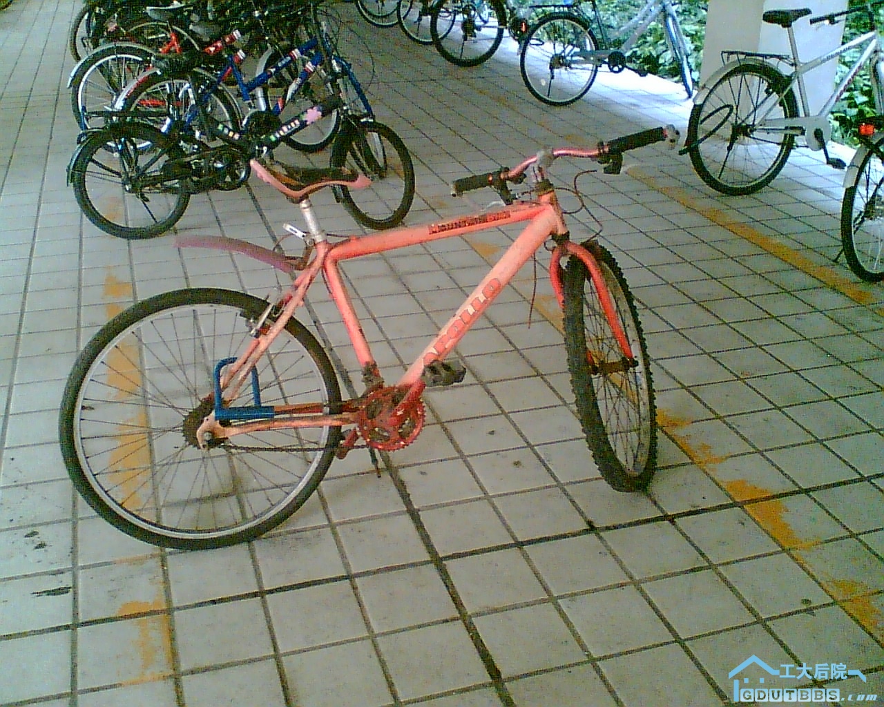 照片067.jpg