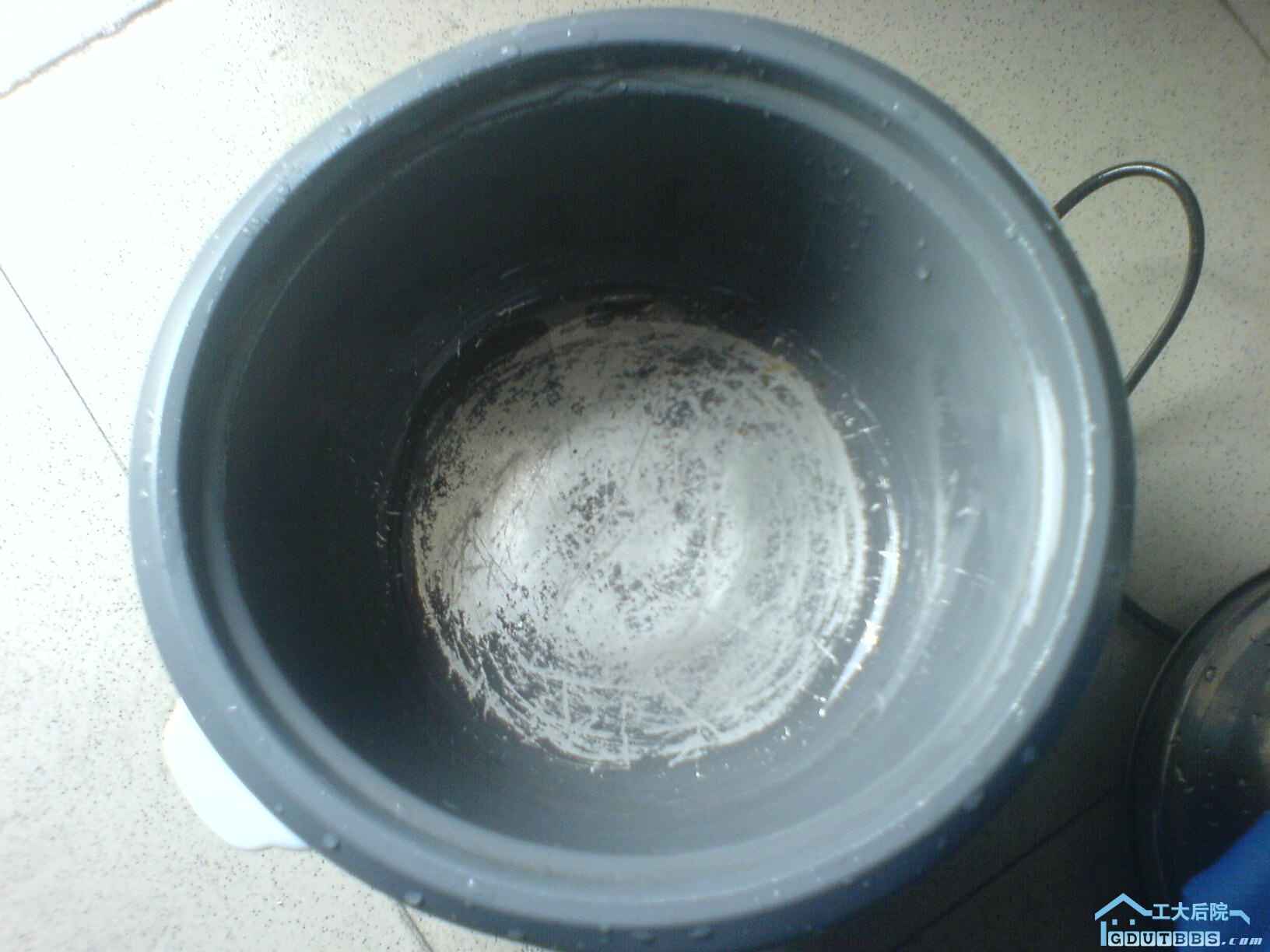 DSC00100.jpg