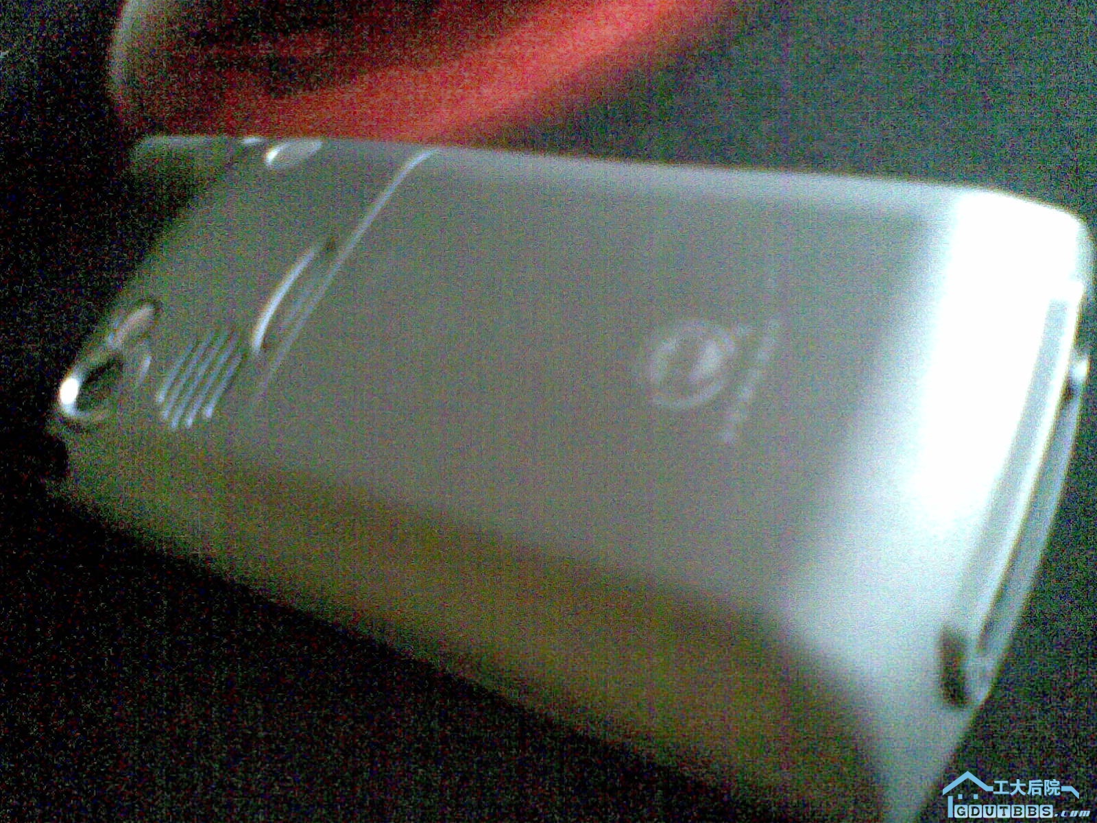 20100103(001).jpg